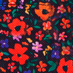 Pochette Nano Indiana State Museum